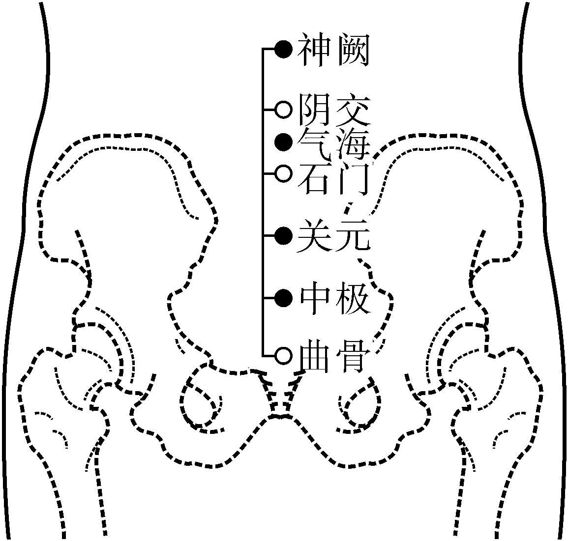 男人的曲骨毛图片